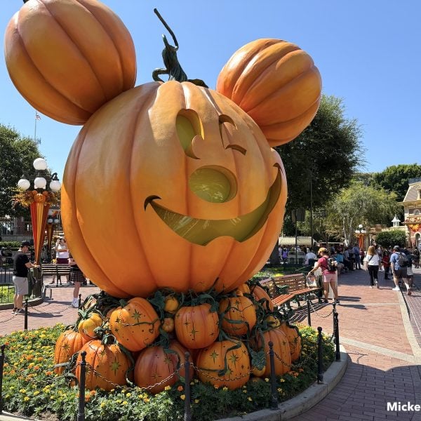 Mickey pumpkin on Main Street Disneyland