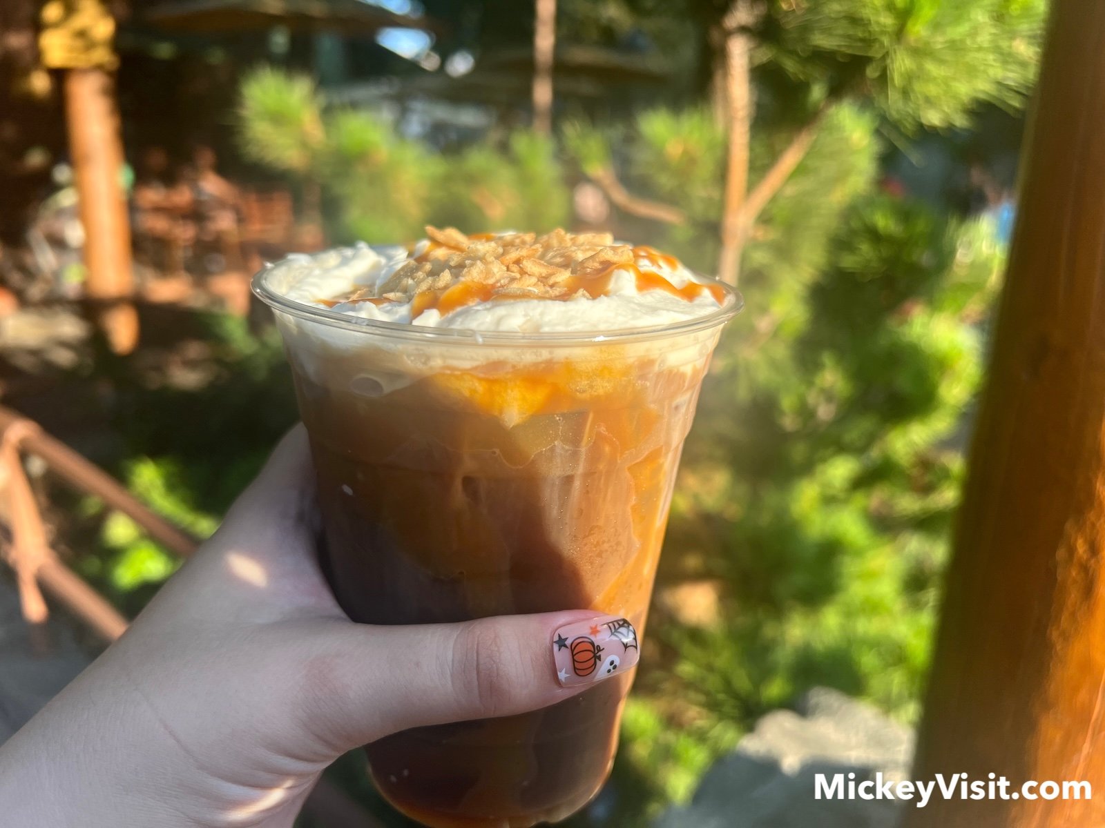BearPaw Basin Cold Brew