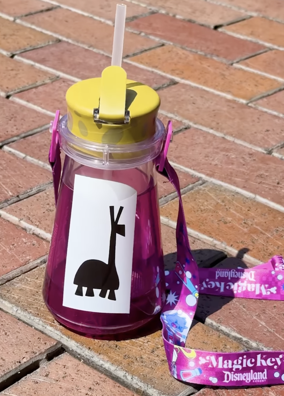 Kuzco Poison Sipper Disneyland