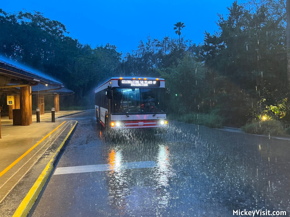 Walt Disney World bus in rain