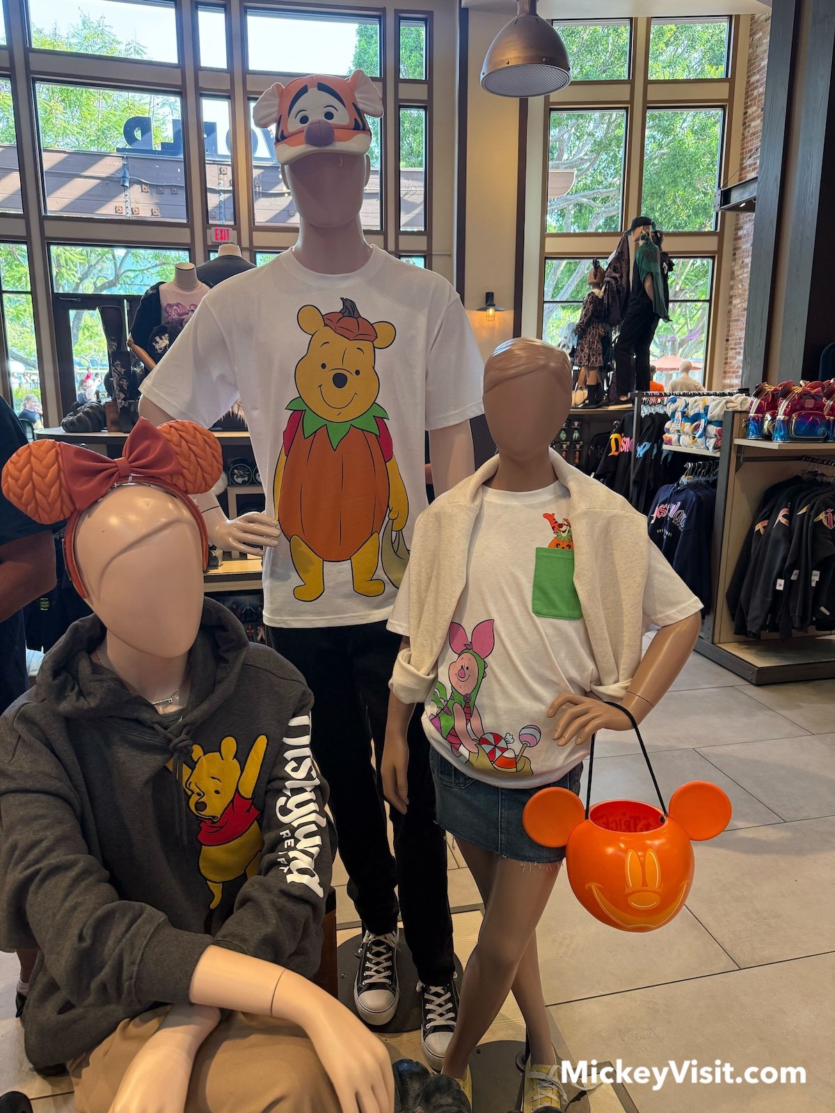 new Winnie the Pooh merch at World of Disney