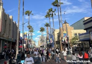 disney california adventure street crowds