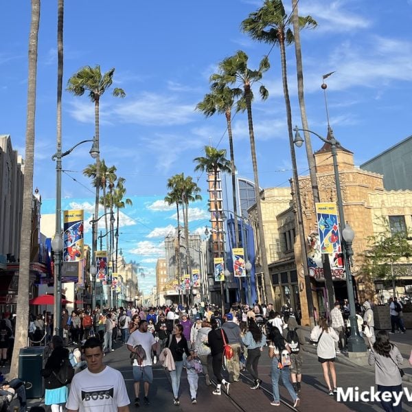 disney california adventure street crowds
