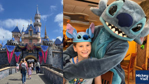 two mickey visit photos stitch and disneyland castle
