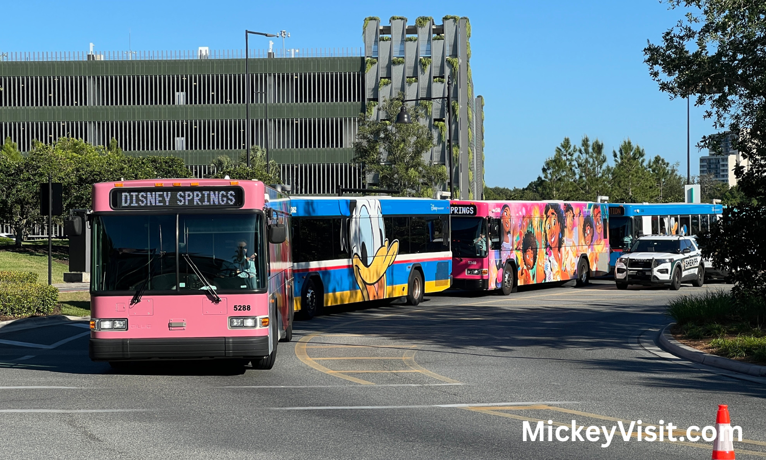 Disney bus