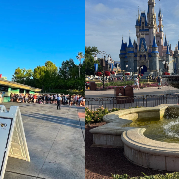 Disney World