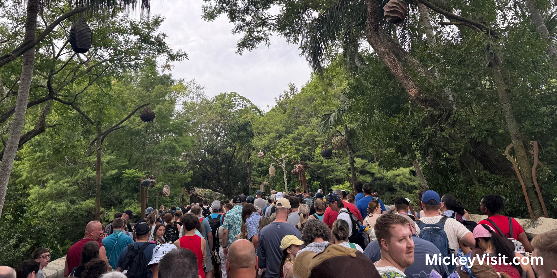 Disney World 
