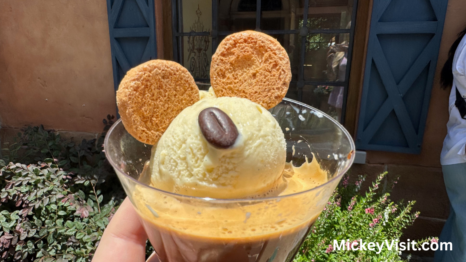gelato icecream