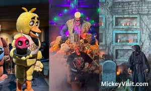 HHN