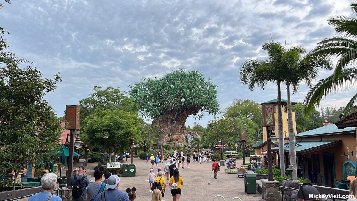 animal kingdom entrance