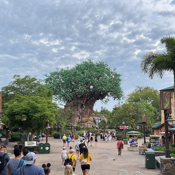 animal kingdom entrance