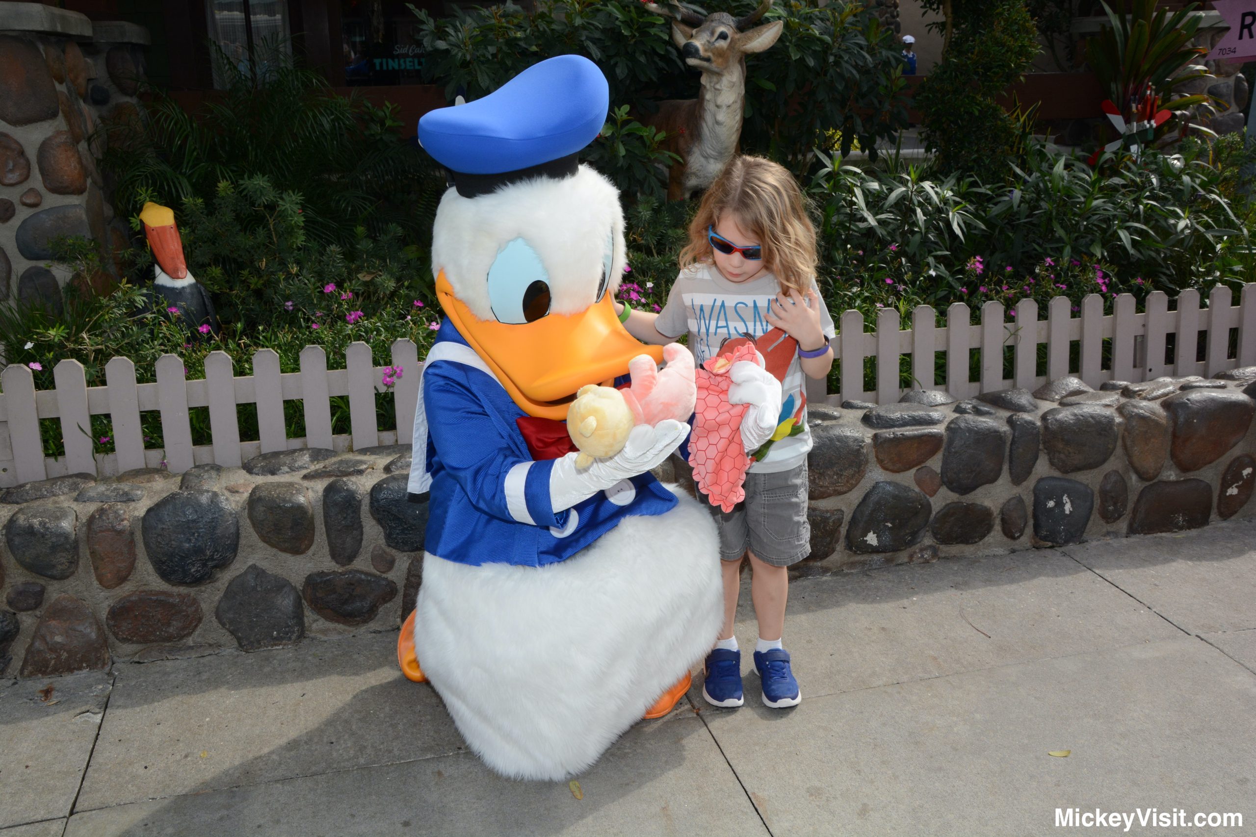 Donald Duck at Disney World