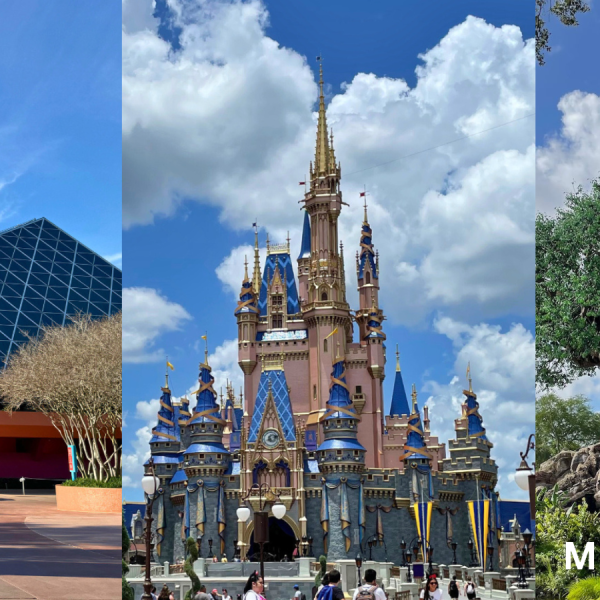 disney world park
