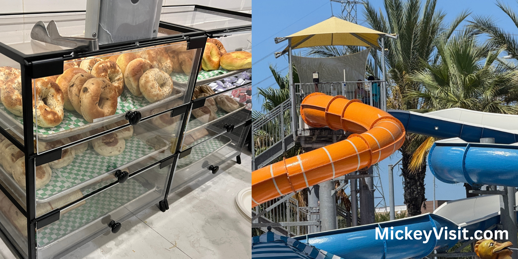 Mythos Review: Universal Orlando Best Sit Down Dining