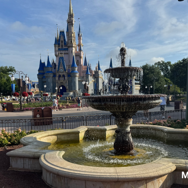Disney World castle