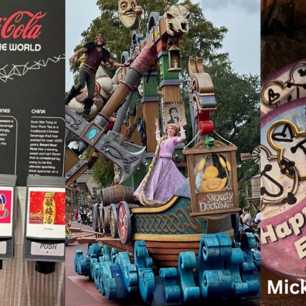 disney world free things