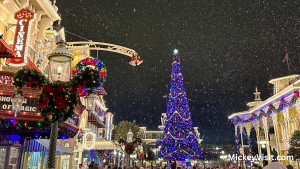 magic kingdom christmas