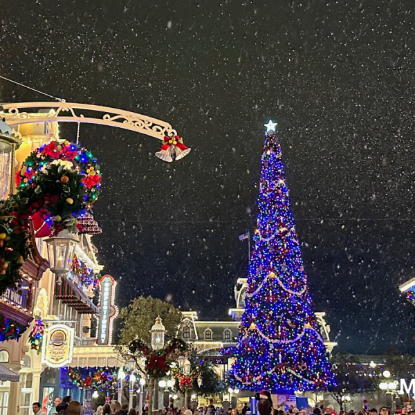 magic kingdom christmas