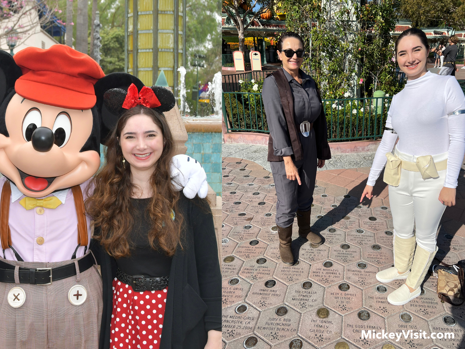 Disney adults Disneybounding and costumes