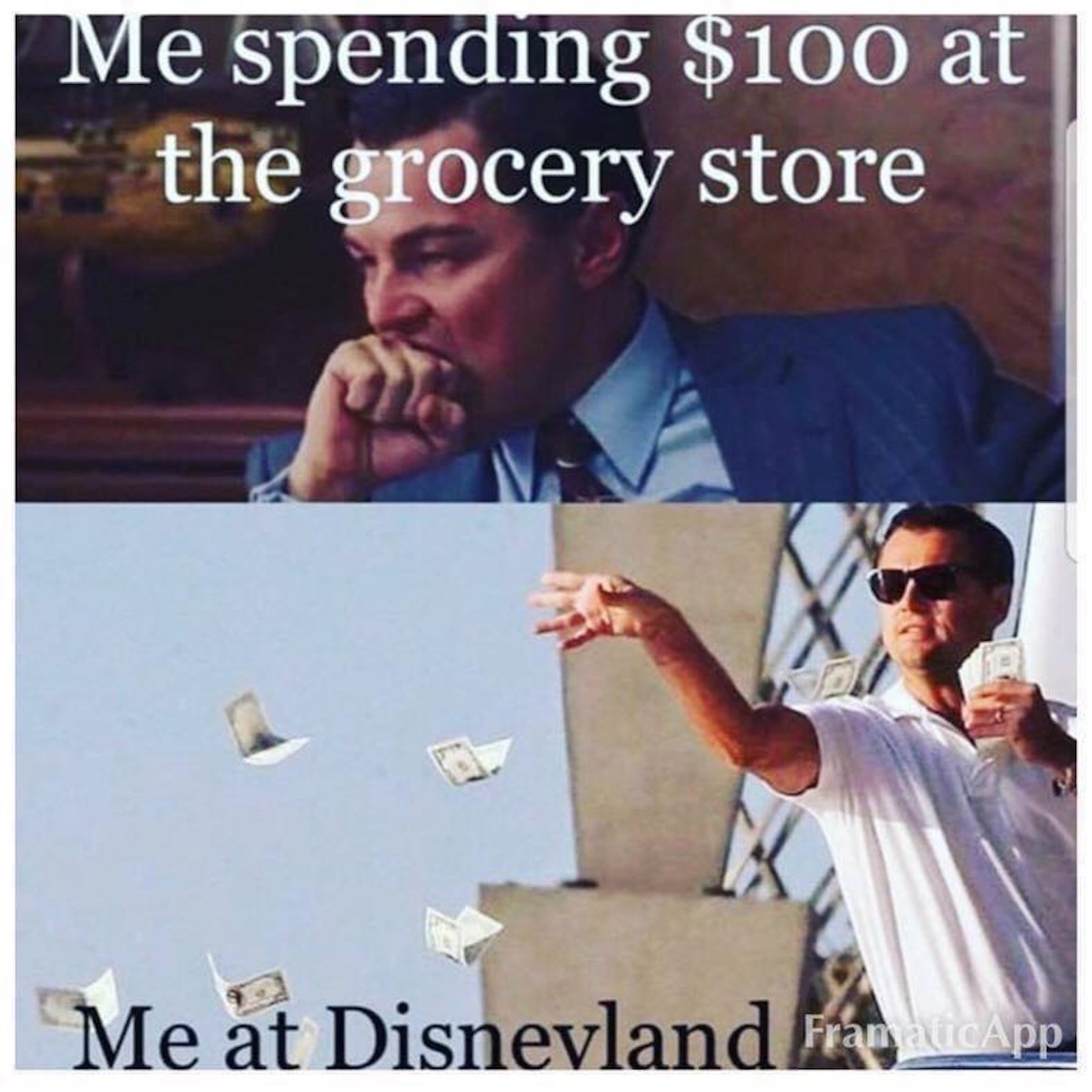 meme grocery store vs Disneyland
