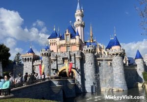 Sleeping Beauty Castle