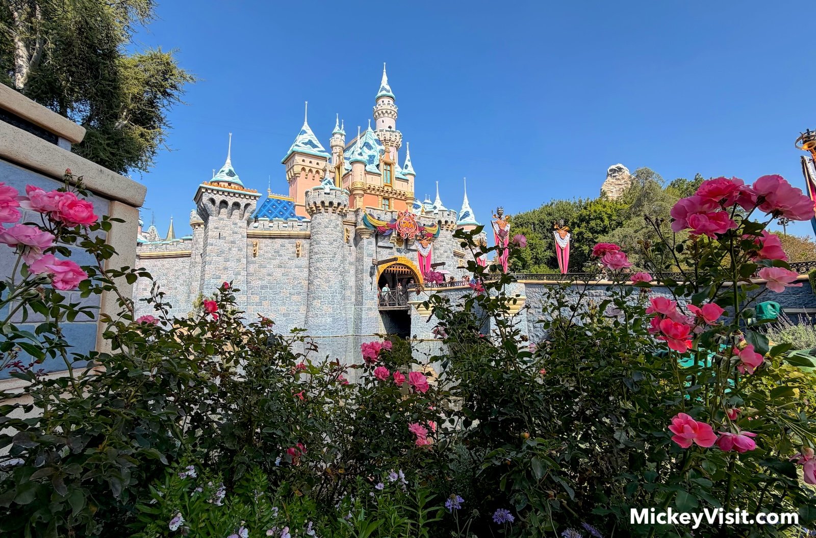 Disneyland castle snow