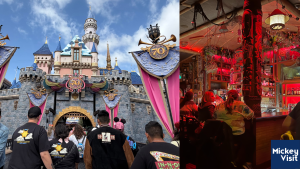 disneyland castle with snow
