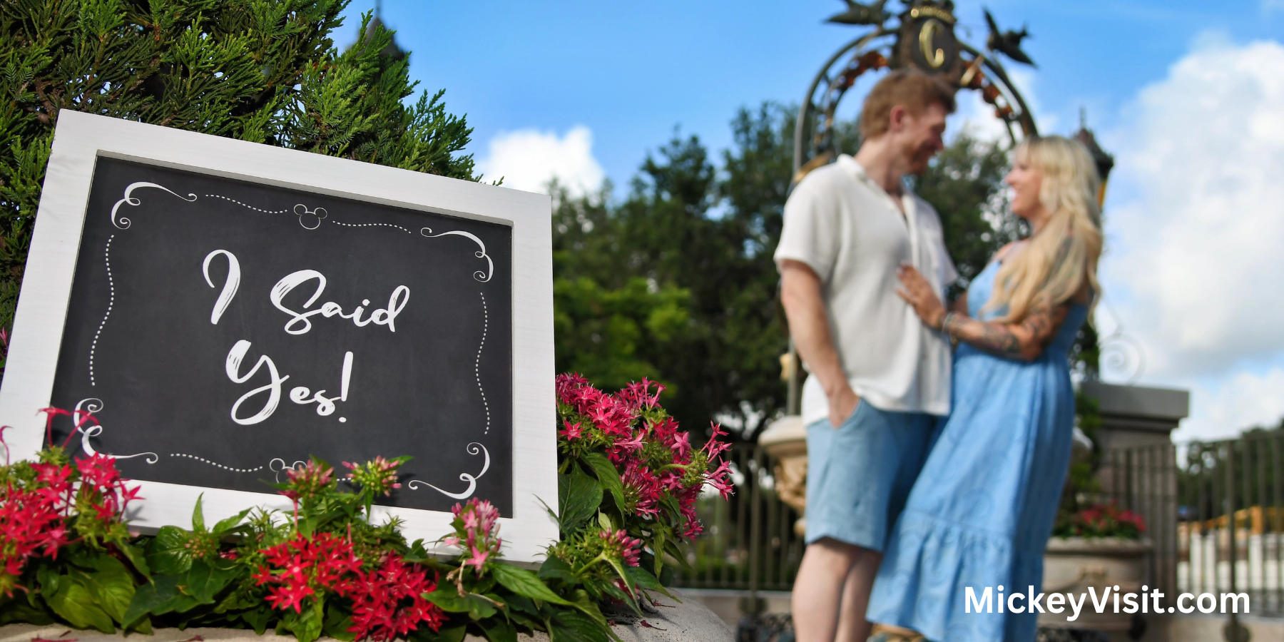 Disney engagement