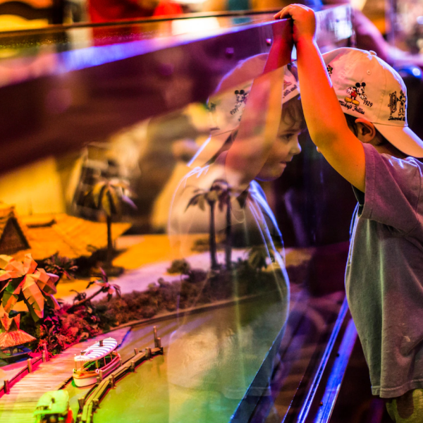 disney world new rides showcase