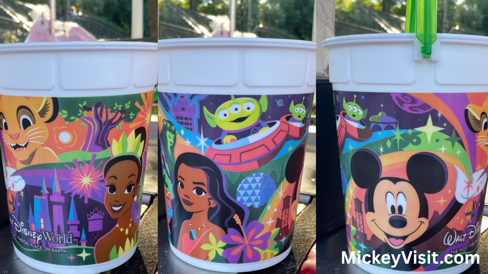 Disney world popcorn bucket