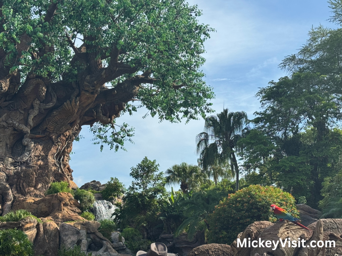 Tree of life