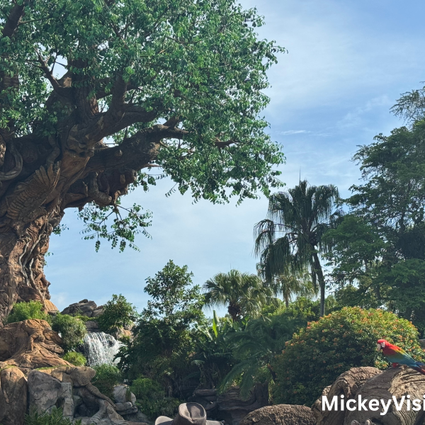 Tree of life