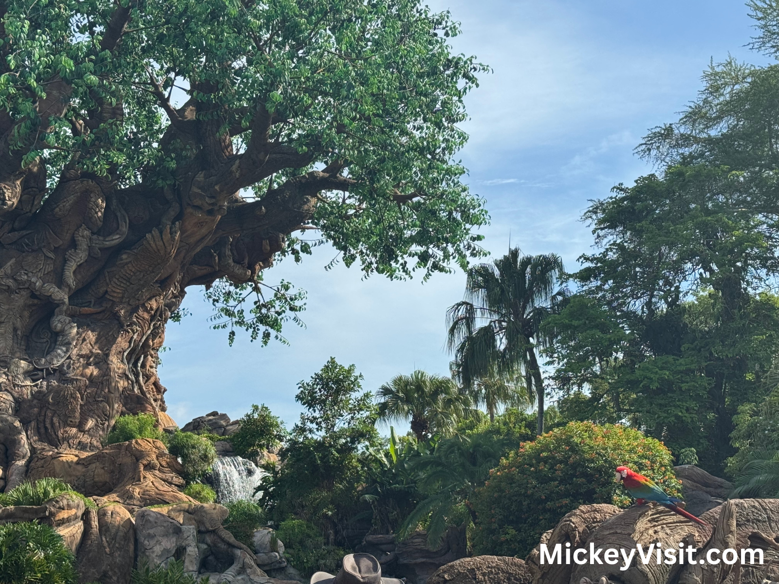 Tree of life