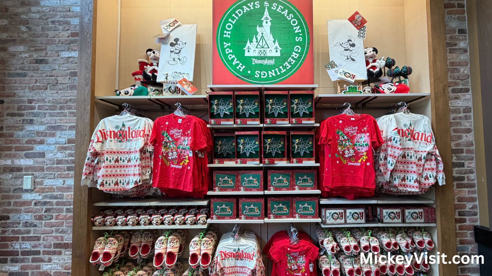 Disneyland Christmas