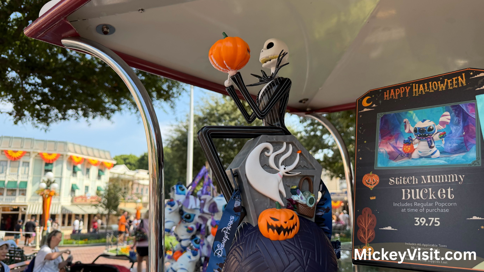 Disneyland popcorn bucket