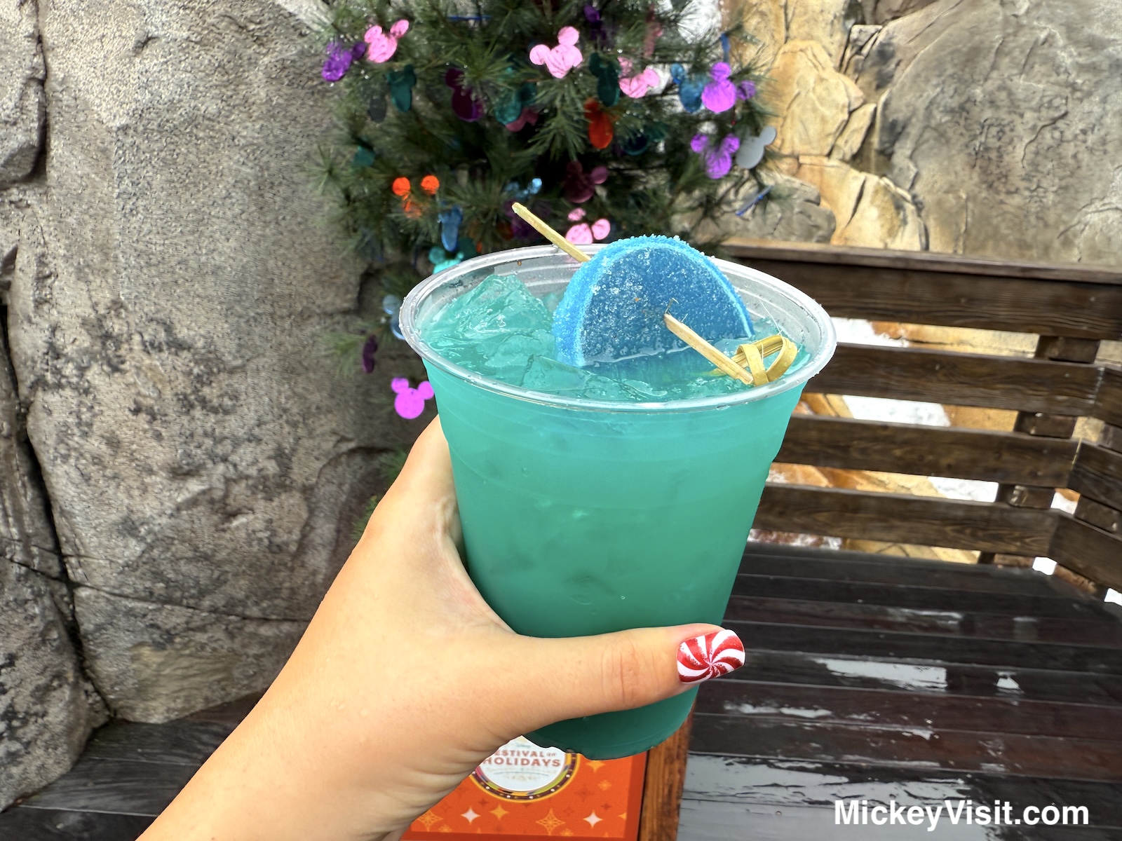 Tropical Holiday Punch