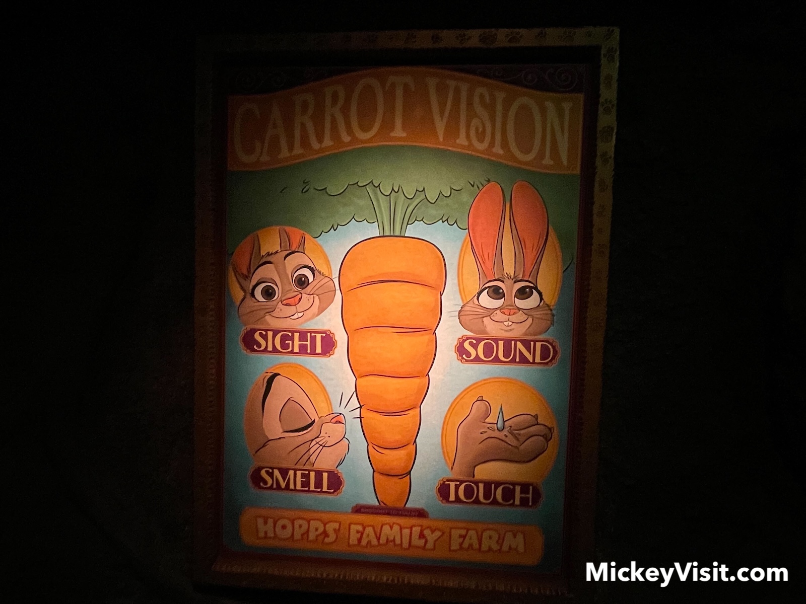 CarrotVision 3D glasses
