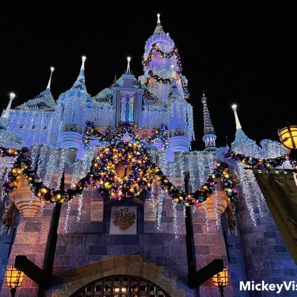 Sleeping Beauty's Winter Castle Disneyland