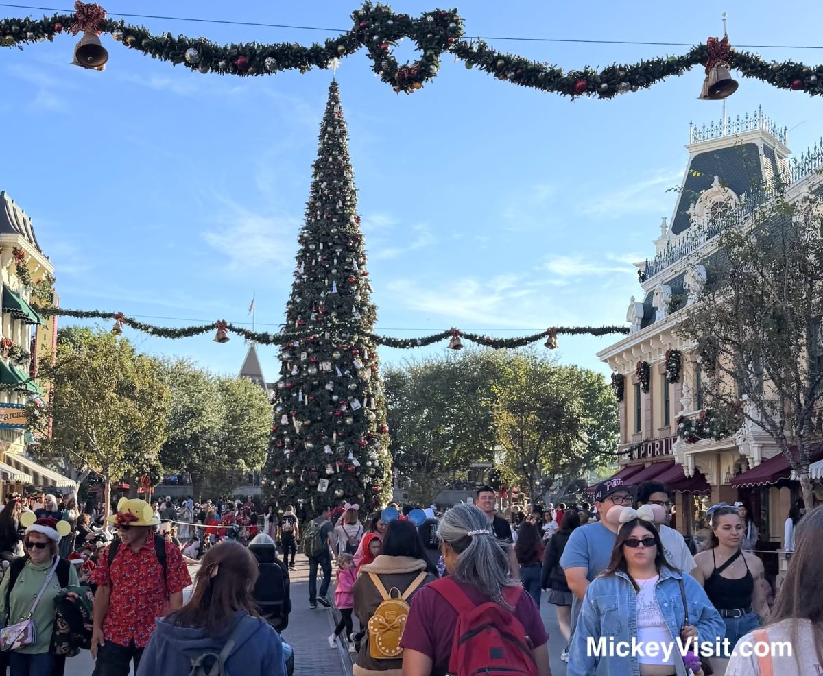 Disneyland crowds Christmas tree
