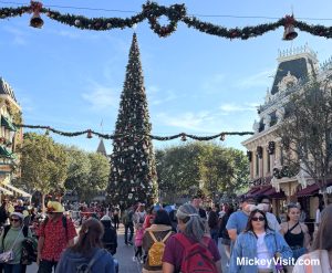 Disneyland crowds Christmas tree
