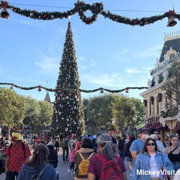 Disneyland crowds Christmas tree
