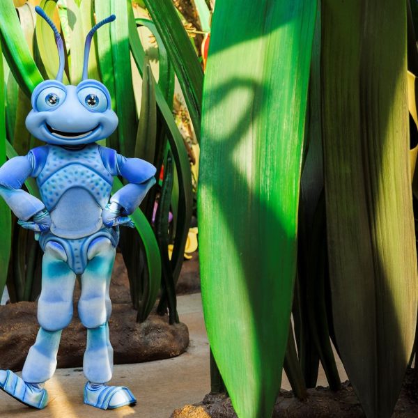 Flik at 70 Years of Favorites