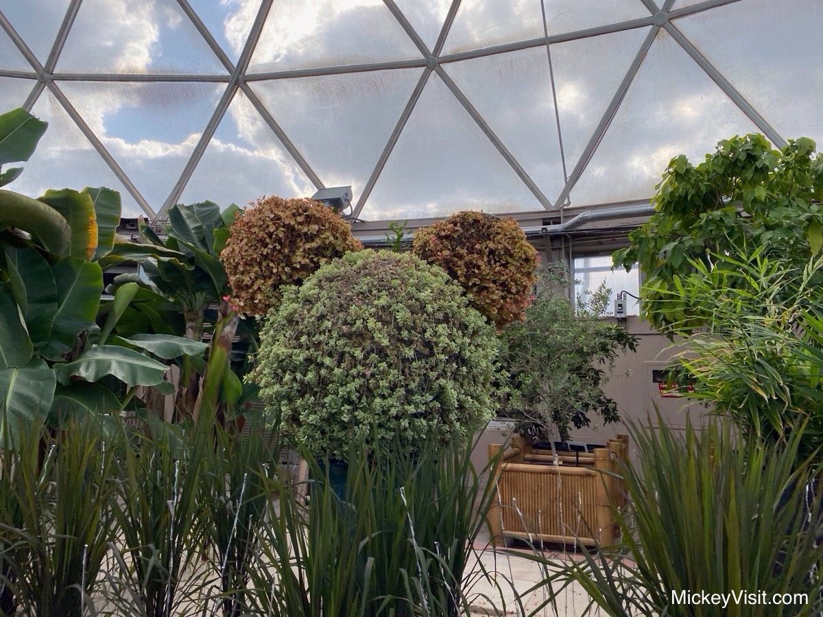 Living with the Land