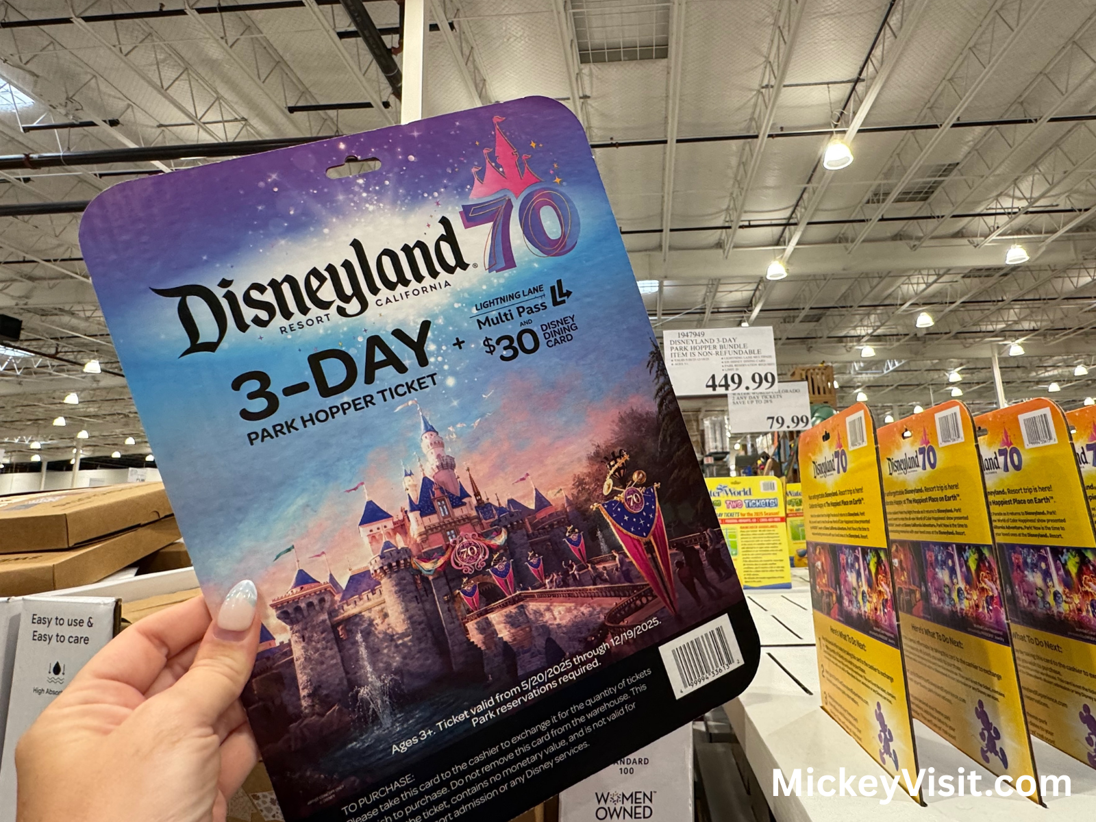 Costco Disneyland ticket