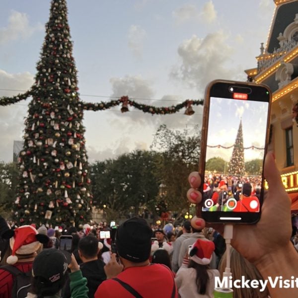 disneyland iphone in front of christmas tree