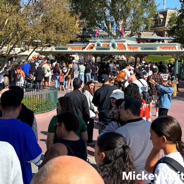disneyland line gate