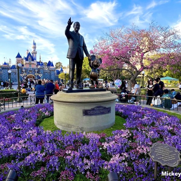 partners statue Disneyland purple flowers