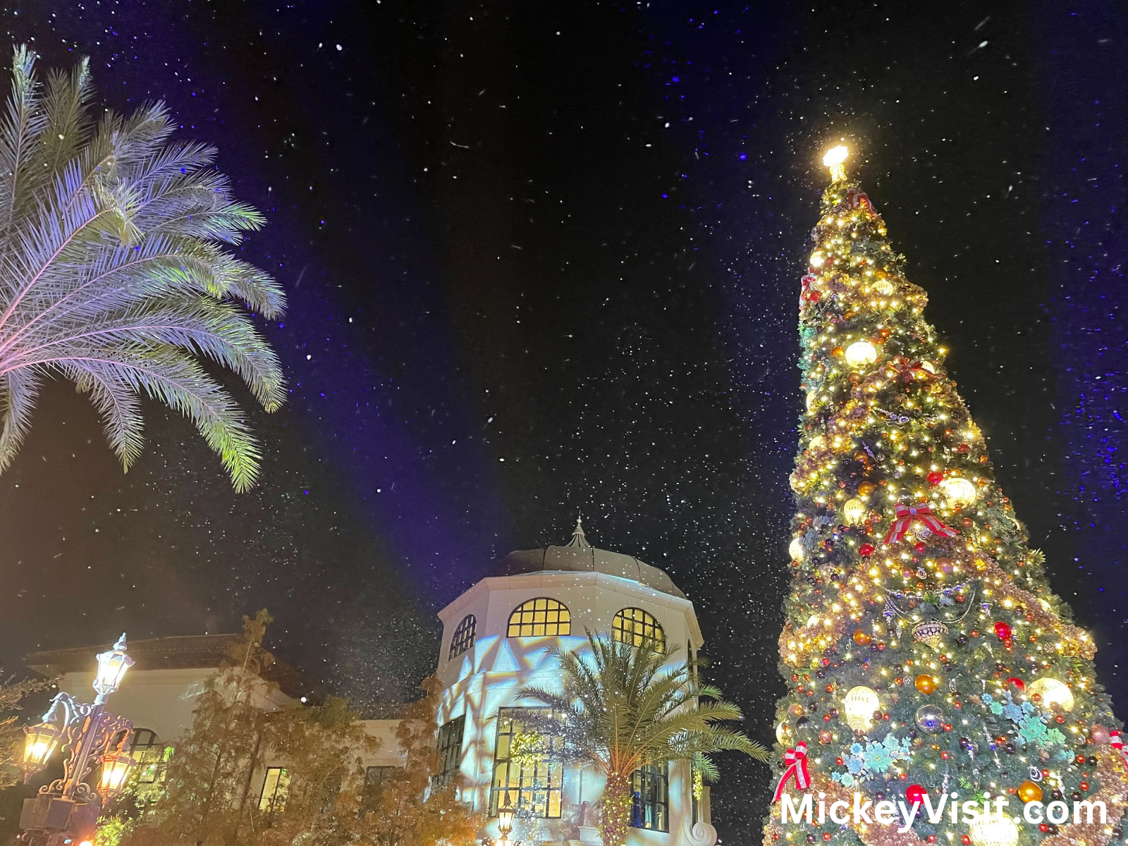 Disney Springs holiday