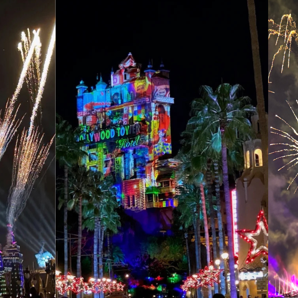 Disney World fireworks new years