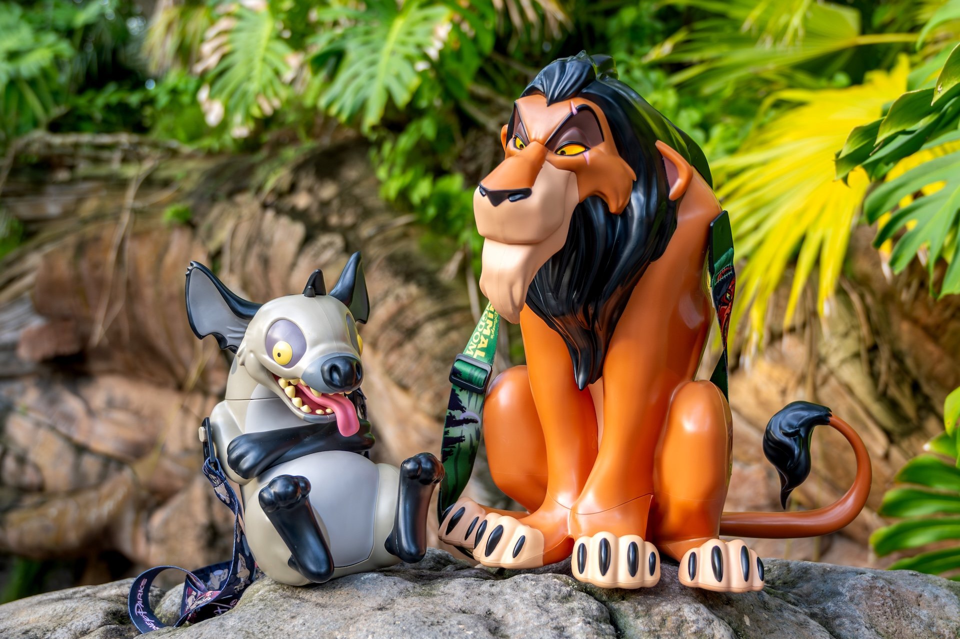 Lion King popcorn bucket
